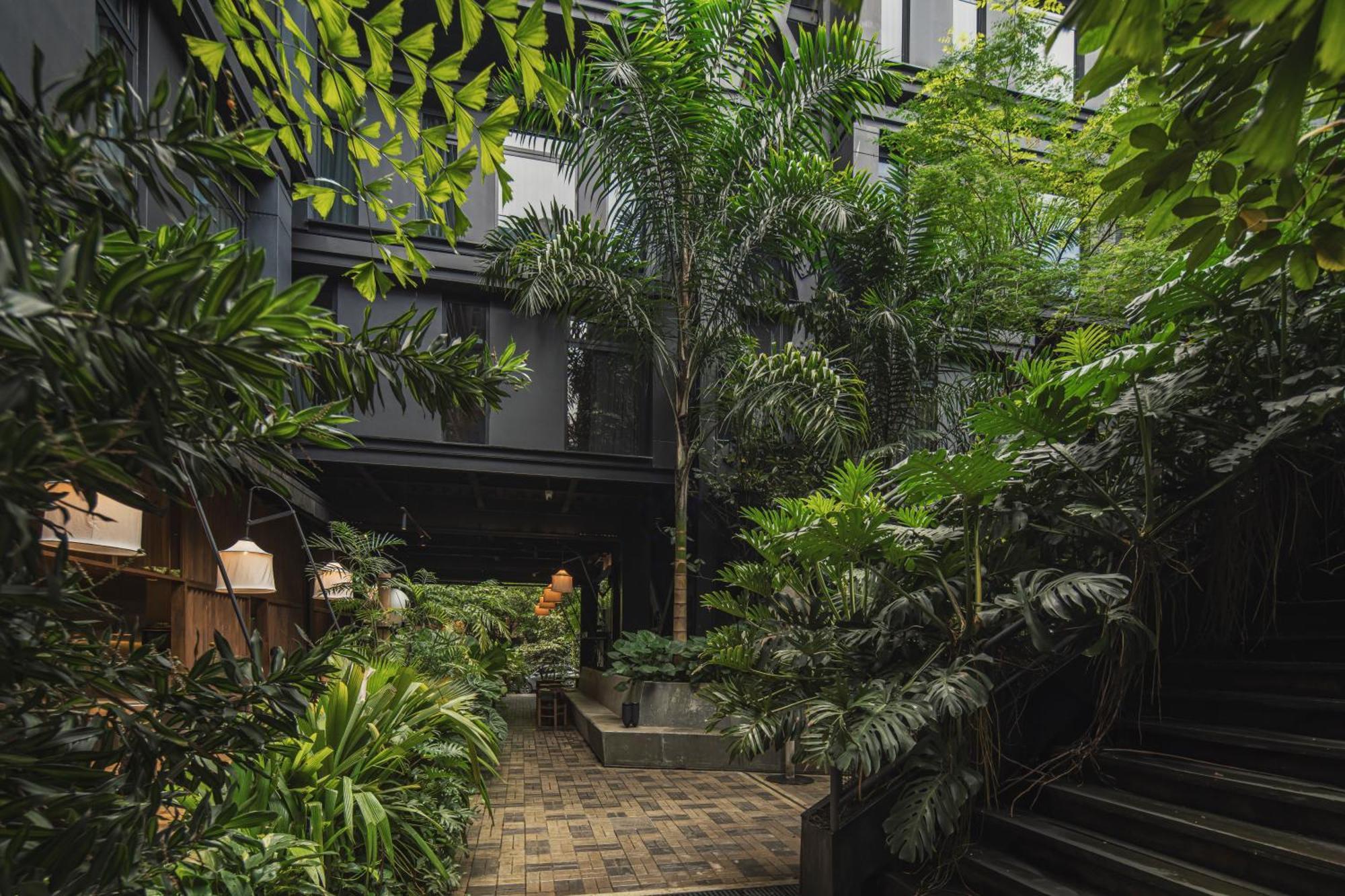 The Click Clack Hotel Медельин Экстерьер фото The interior courtyard of the hotel